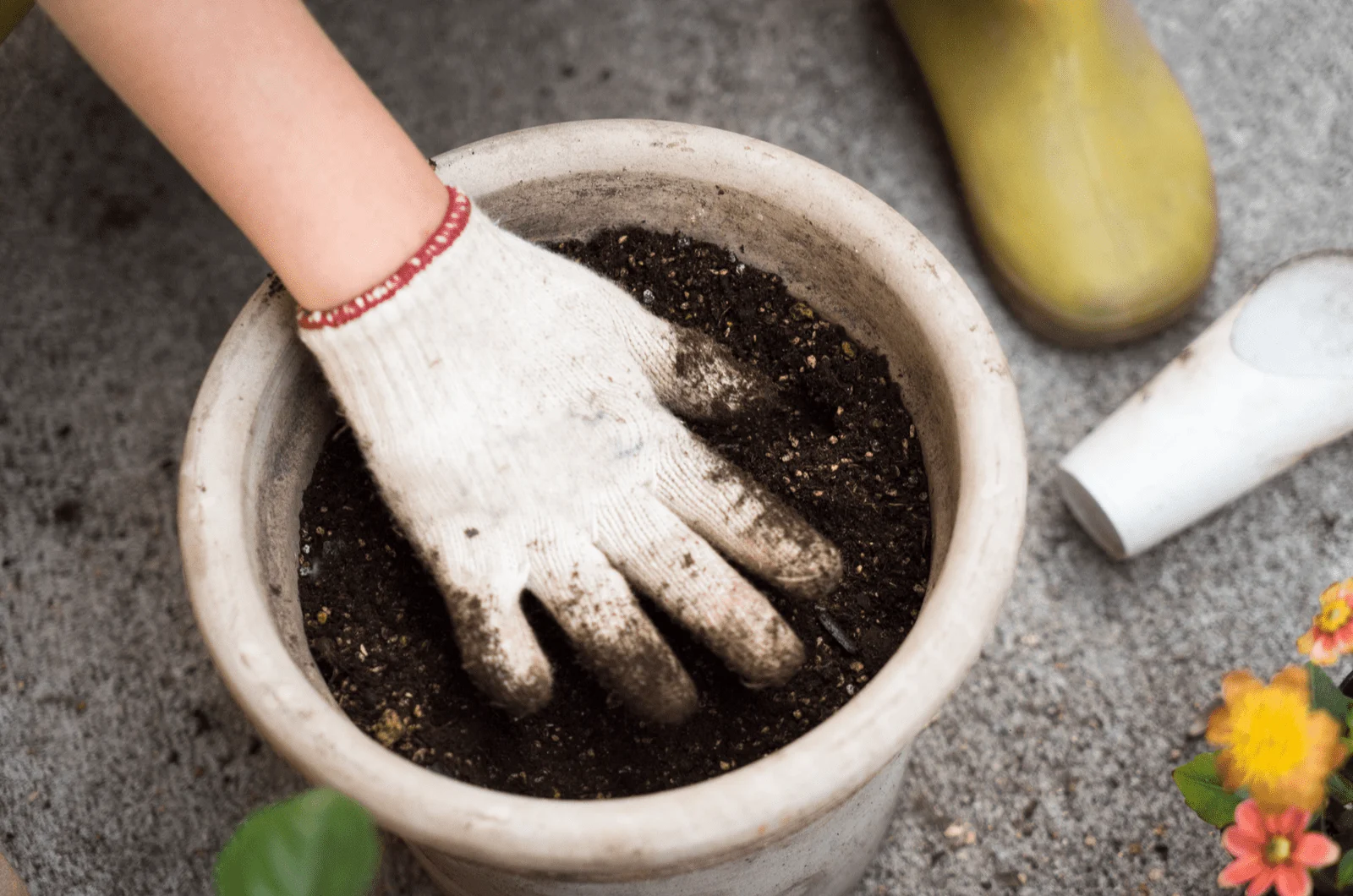 putting soil in pot