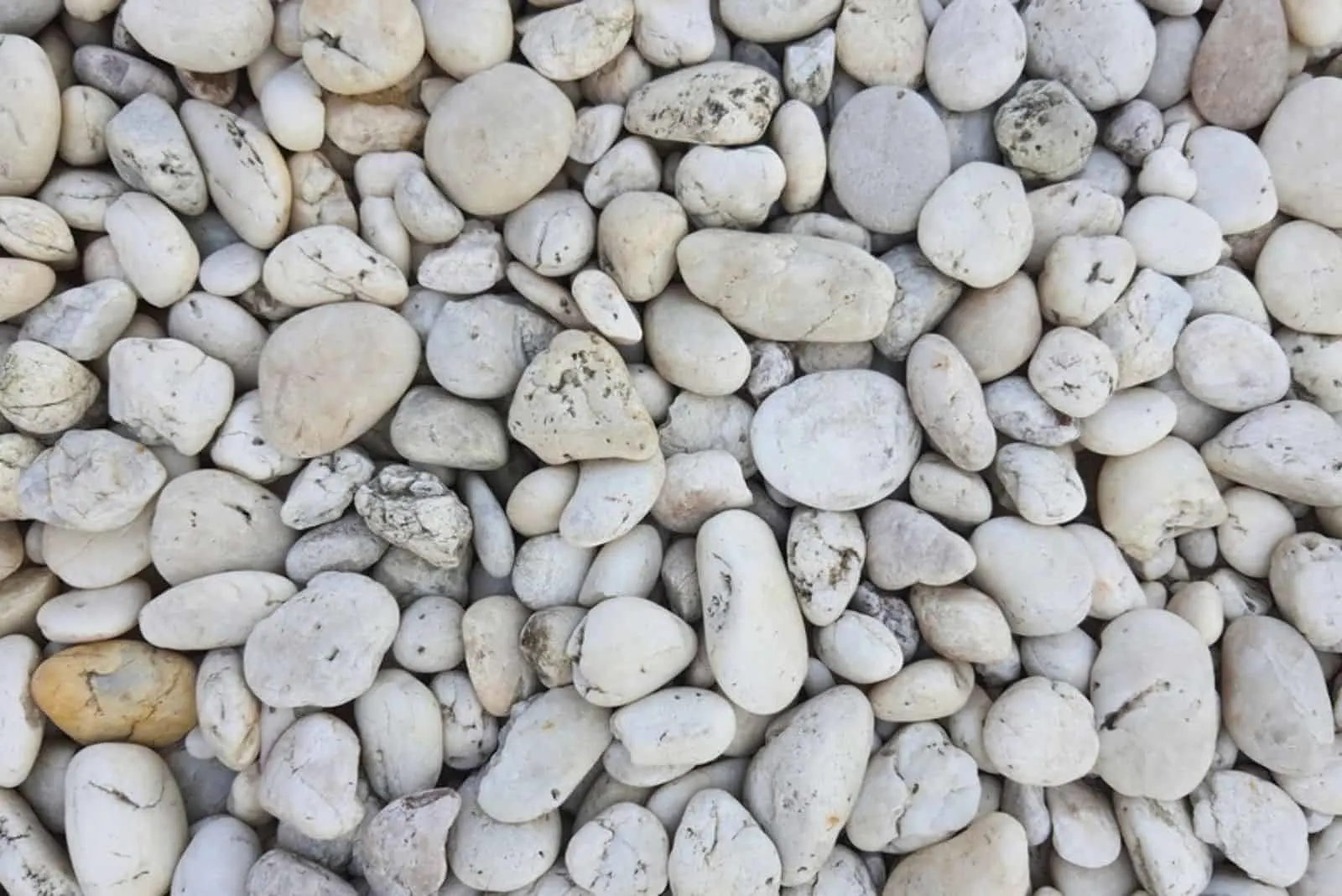 white pebble on the floor 