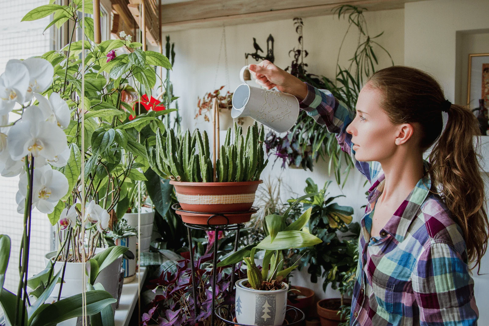 Water the plants. Девушка с комнатным цветком. Женщина поливает цветы. Поливать растения в доме. Уборка цветы в доме.