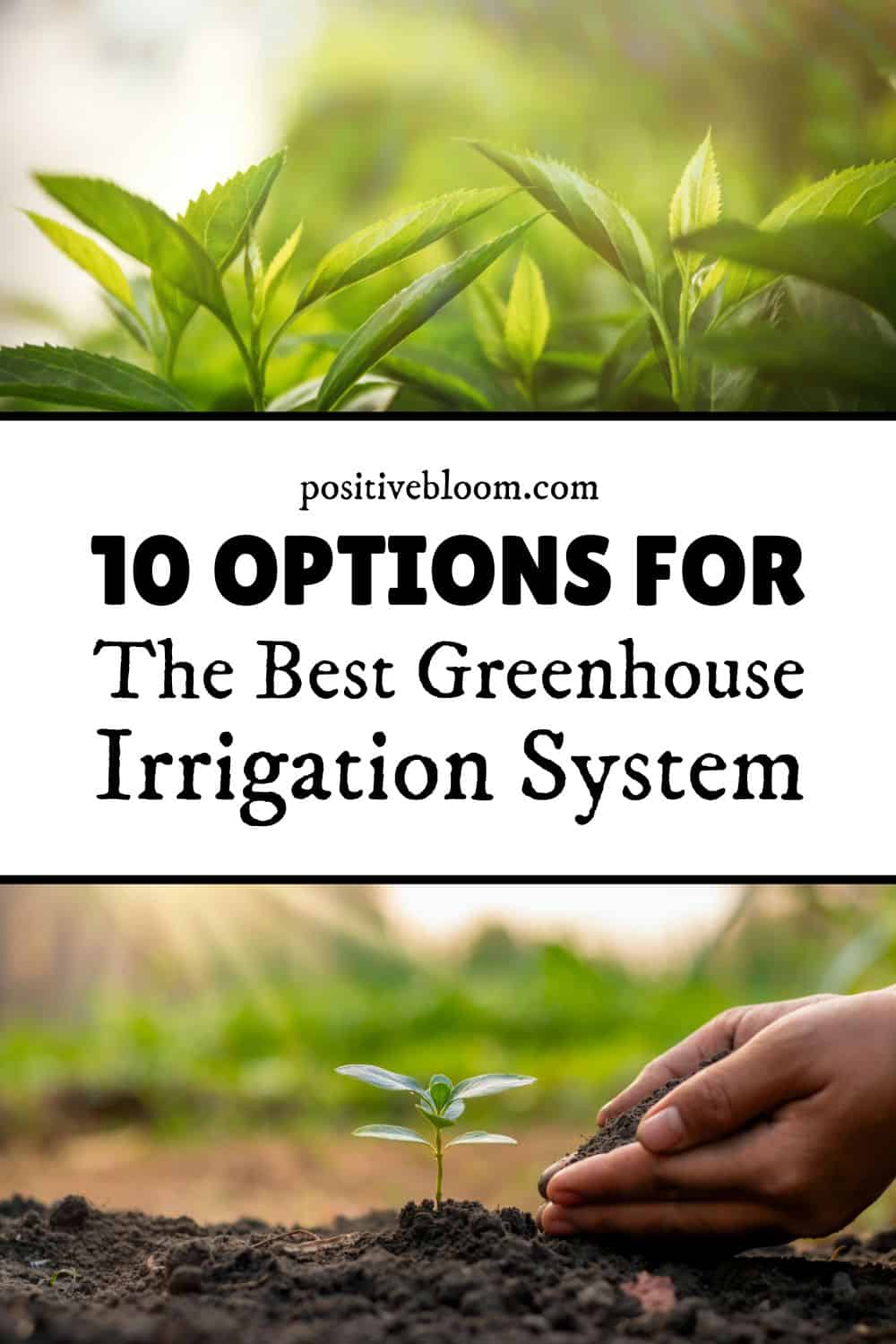 10 Options For The Best Greenhouse Irrigation System Pinterest