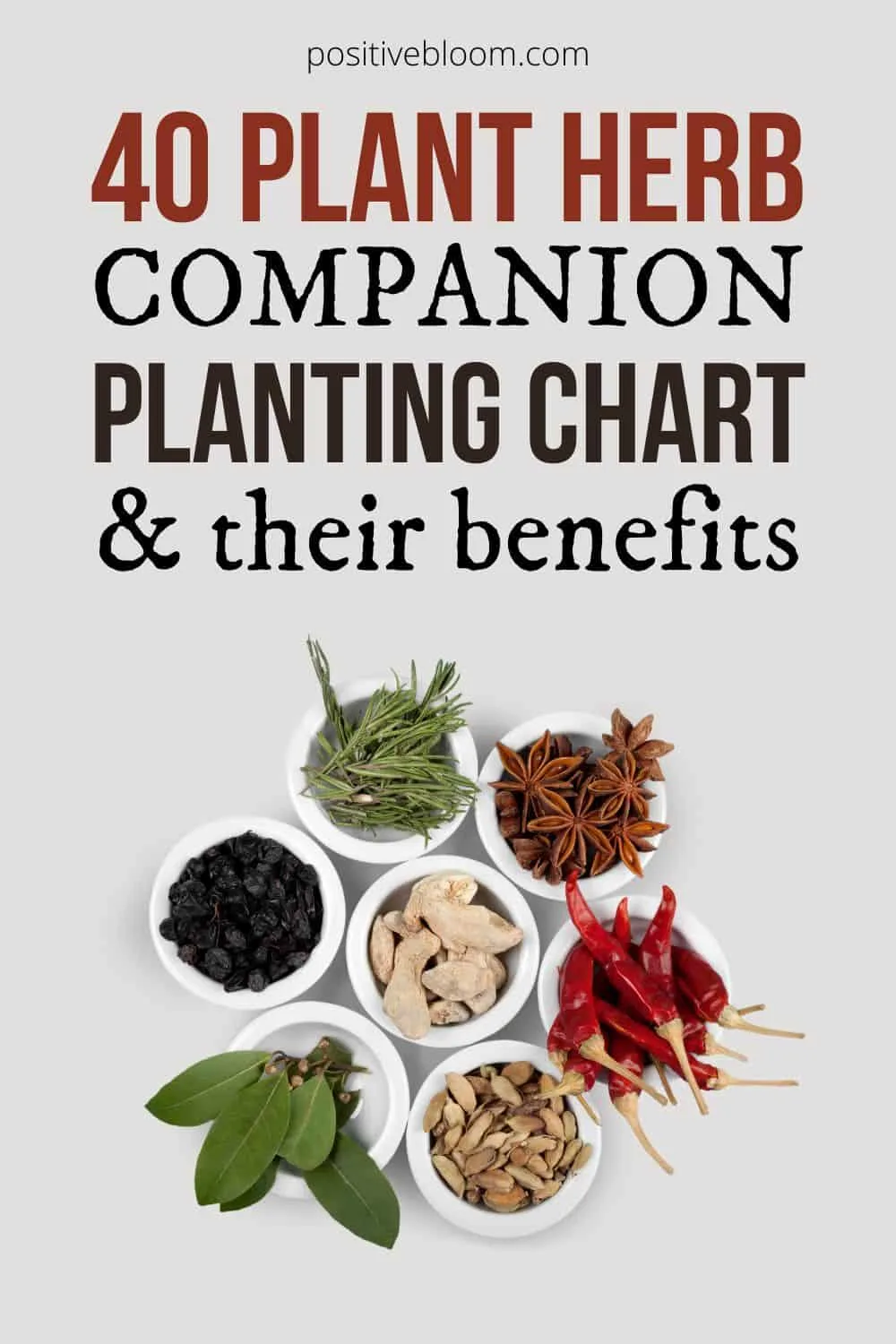 40 Plant Herb Companion Planting Chart And Their Benefits Pinterest