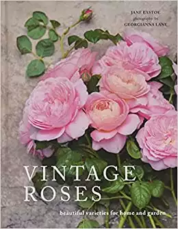 Vintage Roses: Beautiful Varieties For Home And Garden