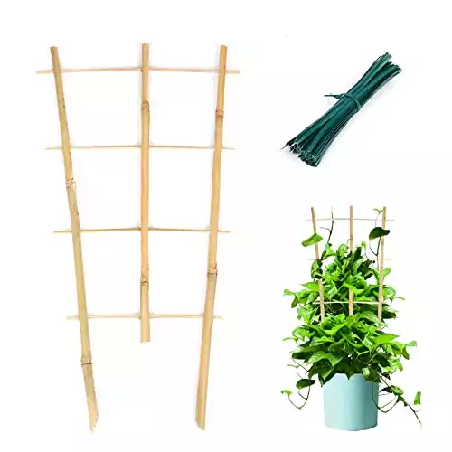 Bamboo Trellis