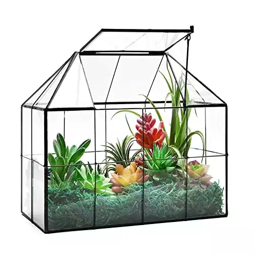 Large Glass Terrarium House Planter