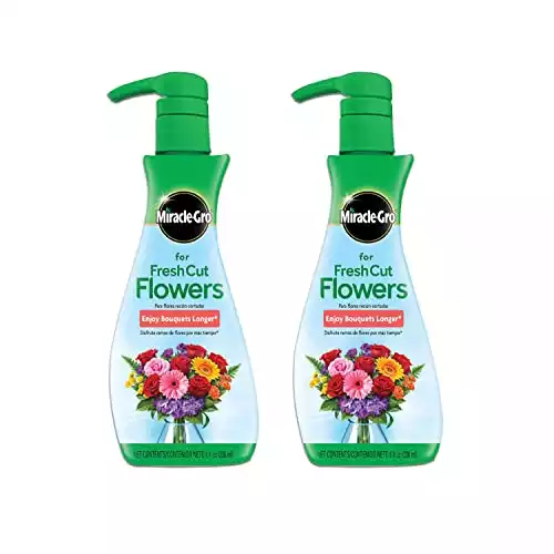 Miracle-Gro for Fresh Cut Flowers