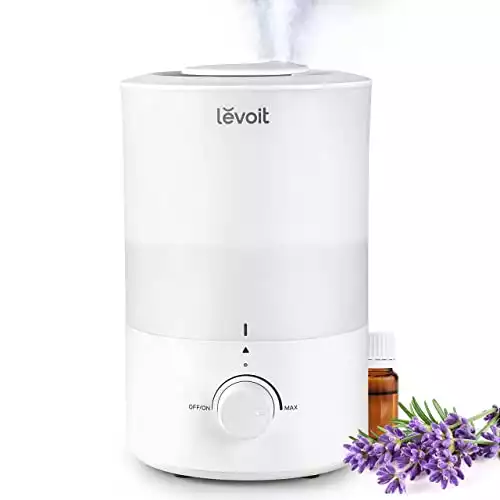 Humidifier and Diffuser