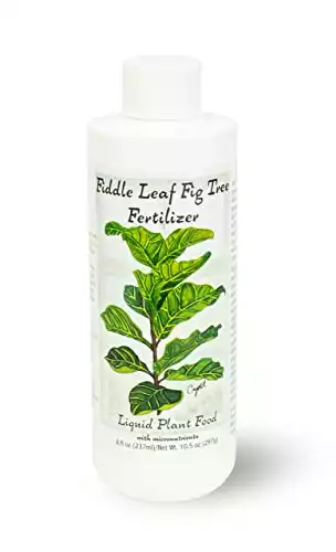 Fiddle Leaf Fig Tree Fertilizer