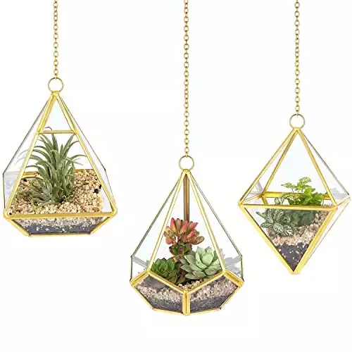 Mkono 3 Pcs Small Hanging Glass Terrarium