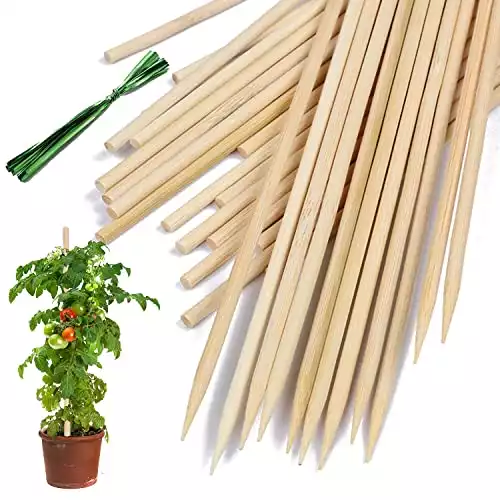 Bamboo Plant Stakes