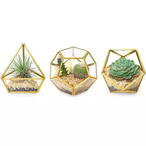 Mkono 4 Inches Mini Glass Geometric Terrarium Container Set