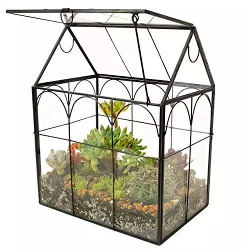 Glass Geometric Plant Terrarium