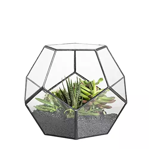 NCYP 5.9" Black Glass Geometric Terrarium Planter Pentagon