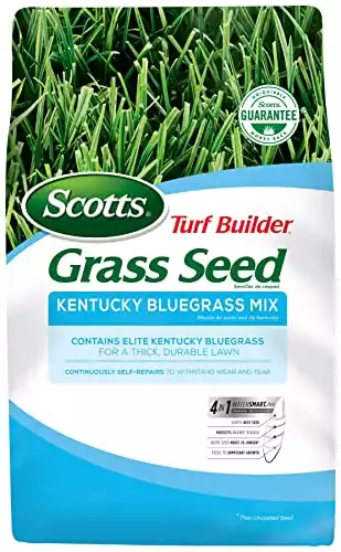 Scotts Turf Builder Grass Seed - Kentucky Bluegrass Mix