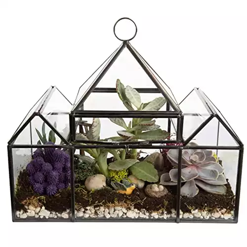 Succulent & Air Plant - Hanging Castle Shaped for Indoor Gardening Decor