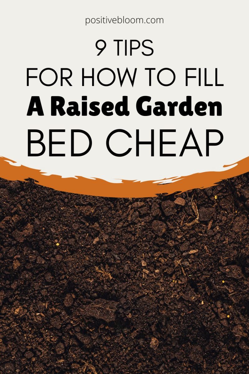 9 Tips For How To Fill A Raised Garden Bed Cheap