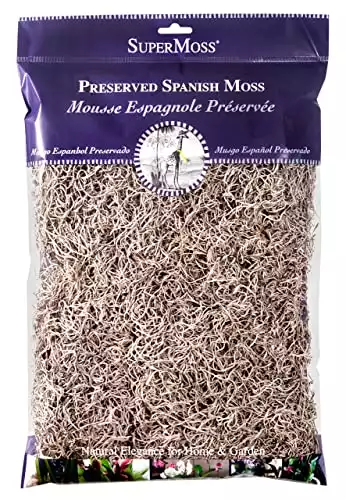 Mosser Lee Spanish Moss