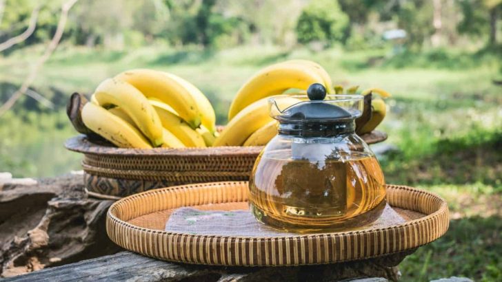 Banana Tea For Plants? All Your Questions Answered