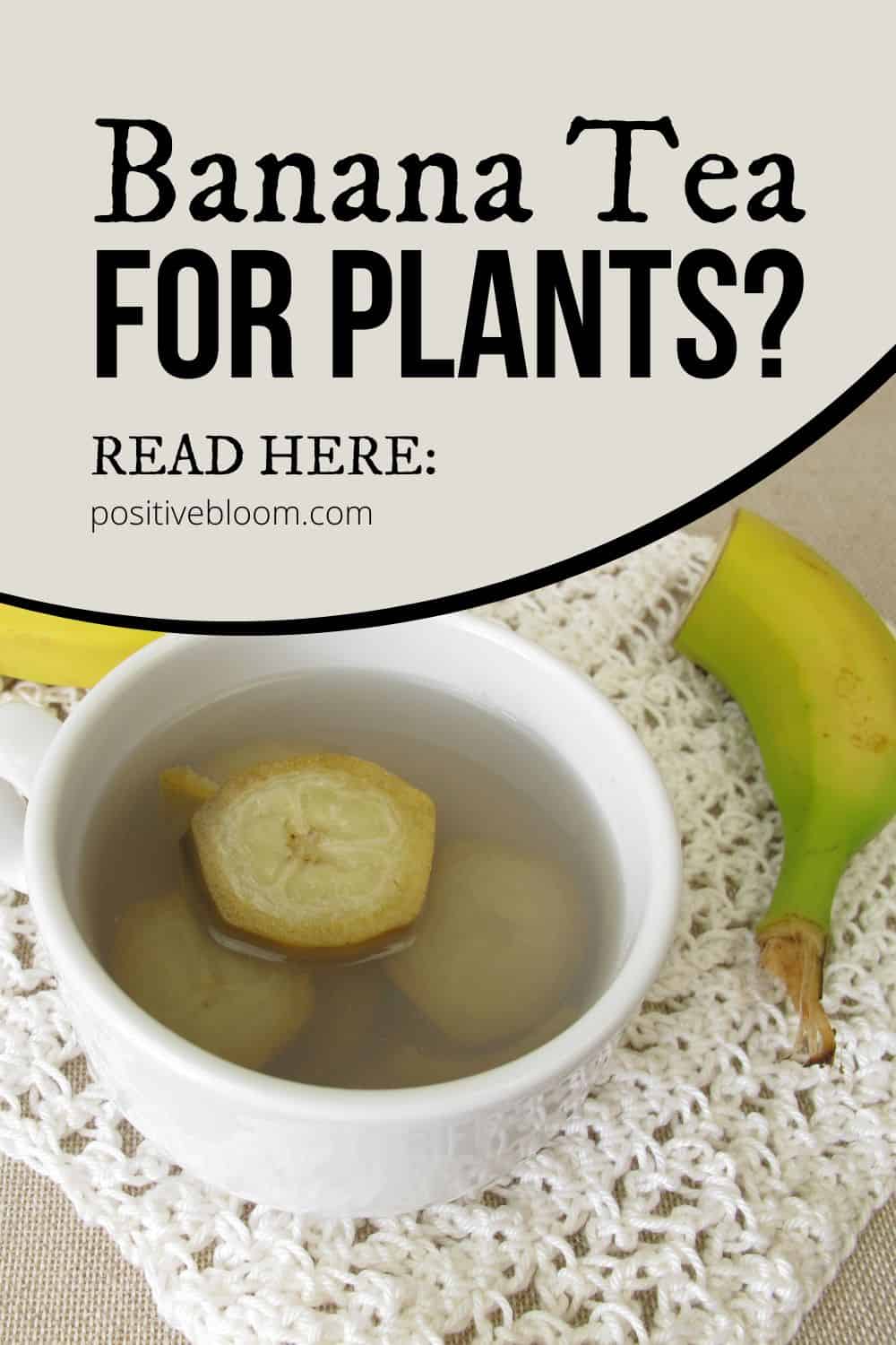 Banana Tea For Plants All Your Questions Answered Pinterest