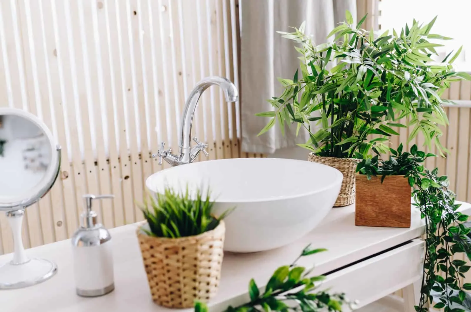 Bathroom Plants That Absorb Moisture (No More Steamy Mirrors!)