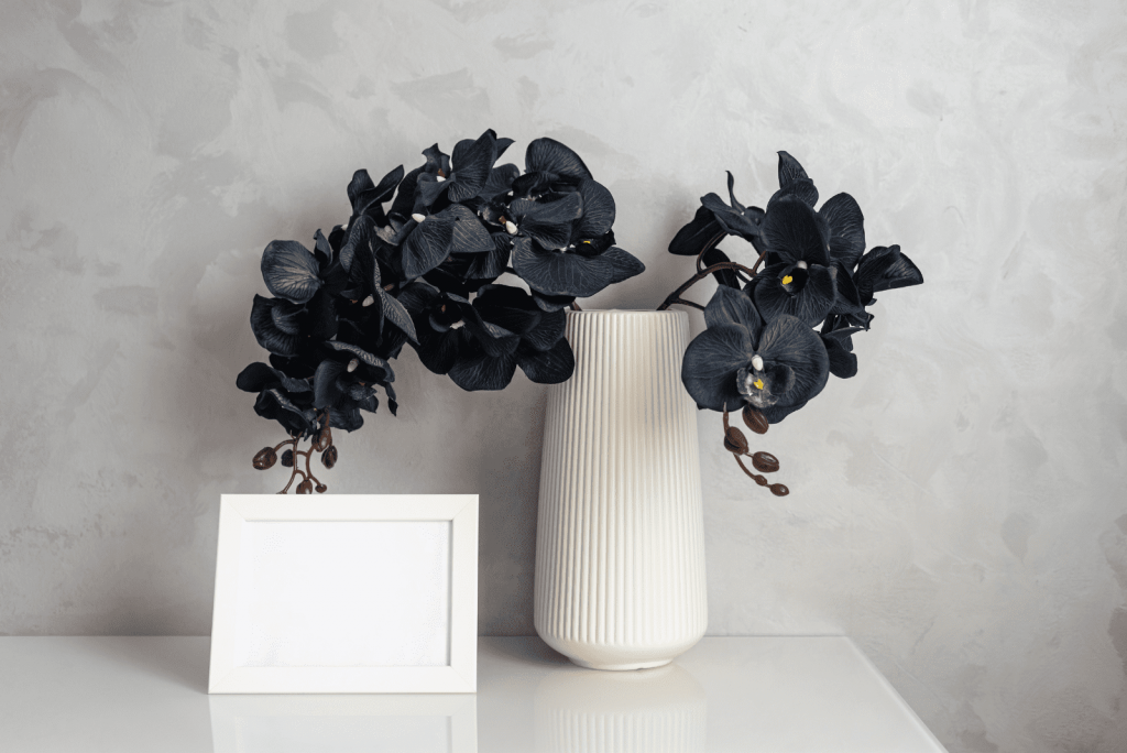 Dive Into Plant Elegancy & See The True Meaning Of Black Orchids