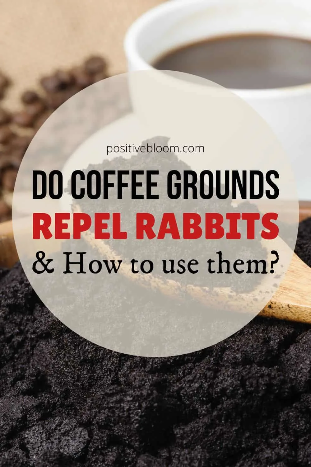 Do Coffee Grounds Repel Rabbits And How To Use Them Pinterest