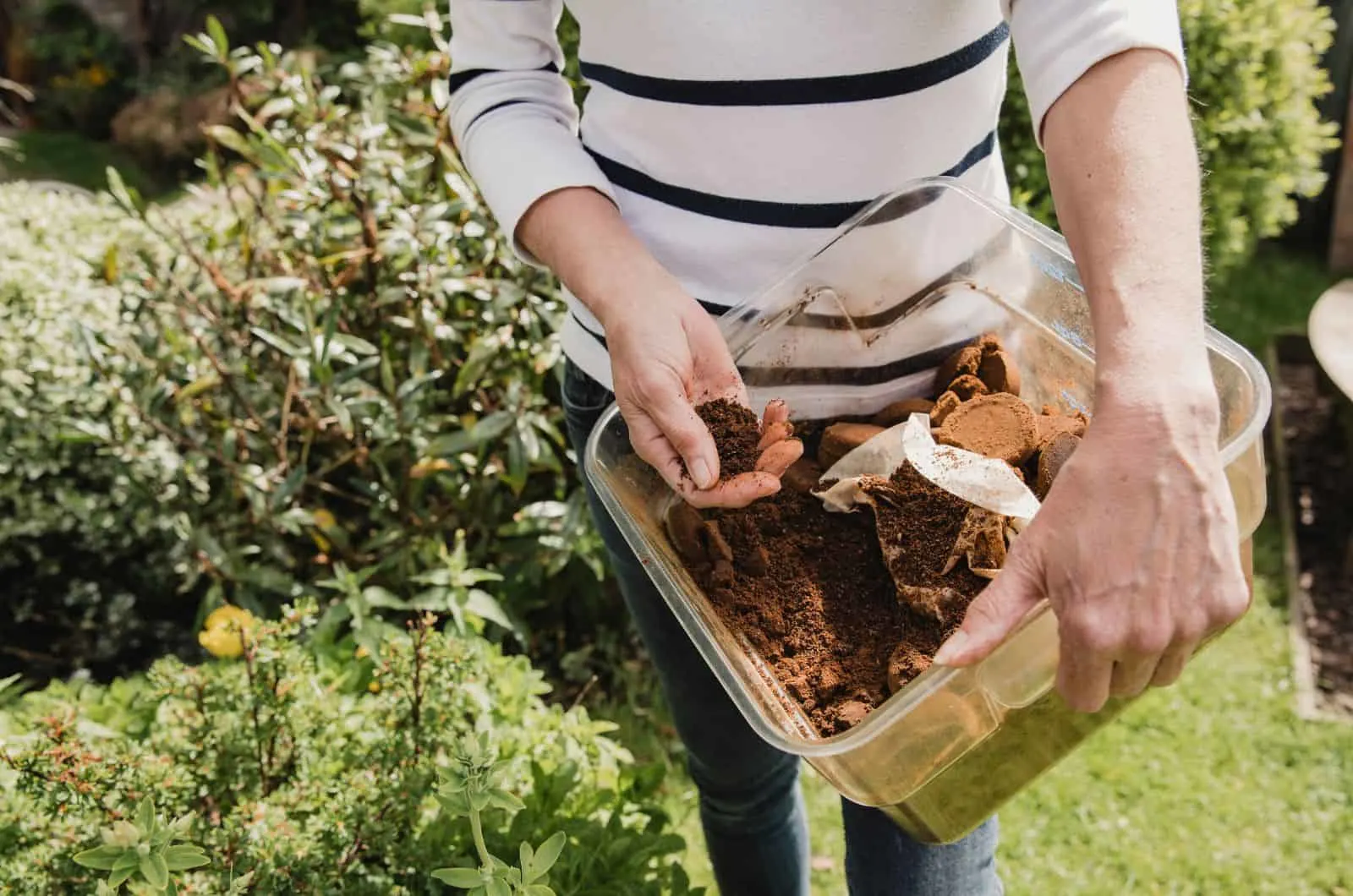 woman putting coffee in plant soil