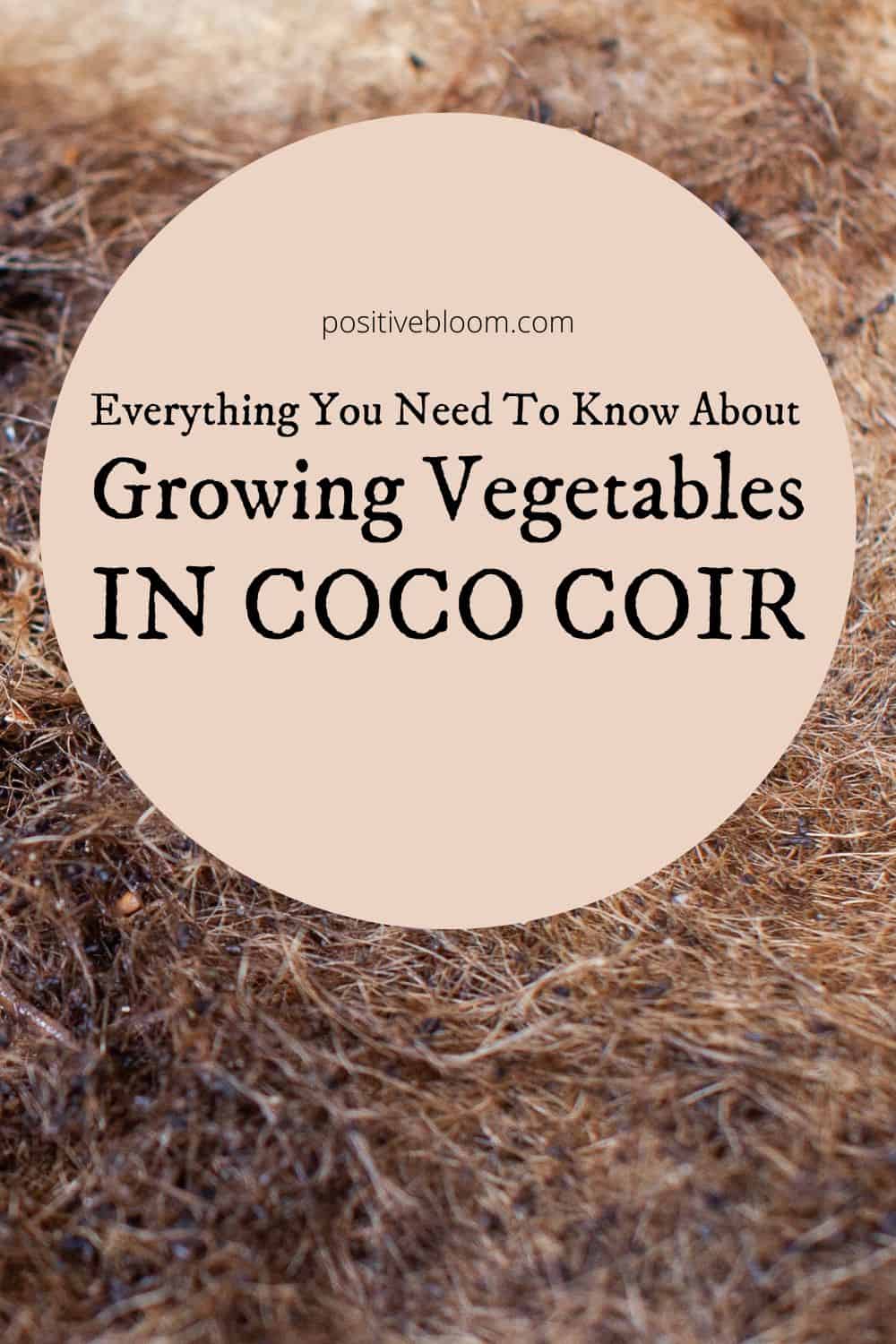 Everything You Need To Know About Growing Vegetables In Coco Coir Pinterest