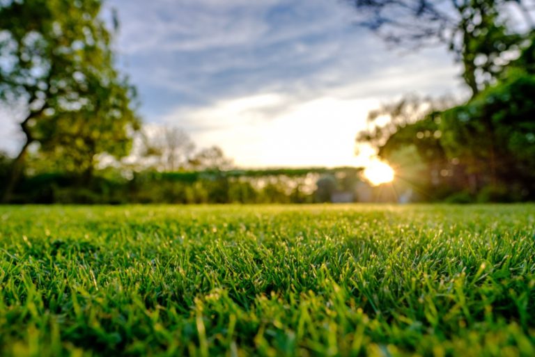 Sunset view of a large, well maintained large garden seen in early summer