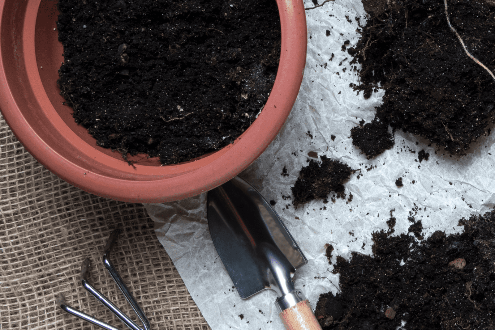 Materials Required For Repotting