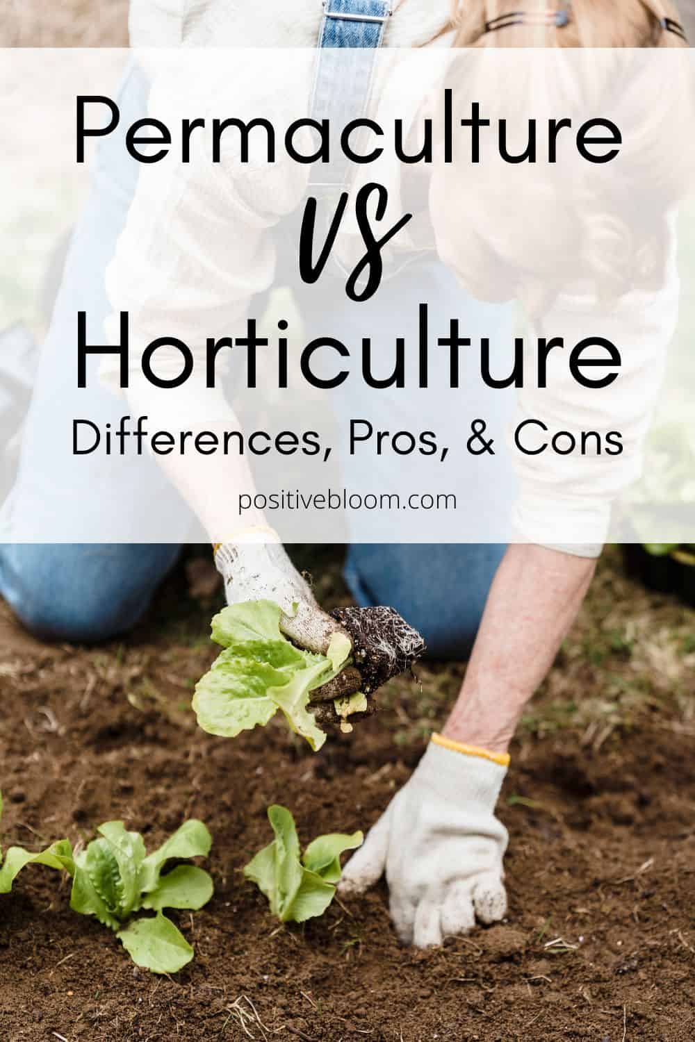 Permaculture vs Horticulture Differences, Pros, And Cons Pinterest