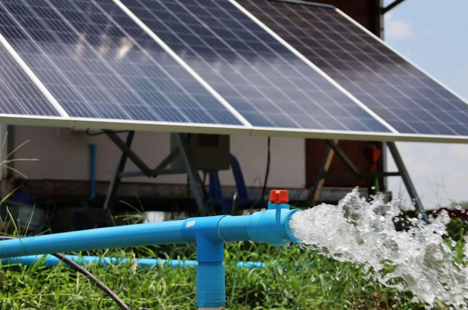 Solar-Powered Watering System