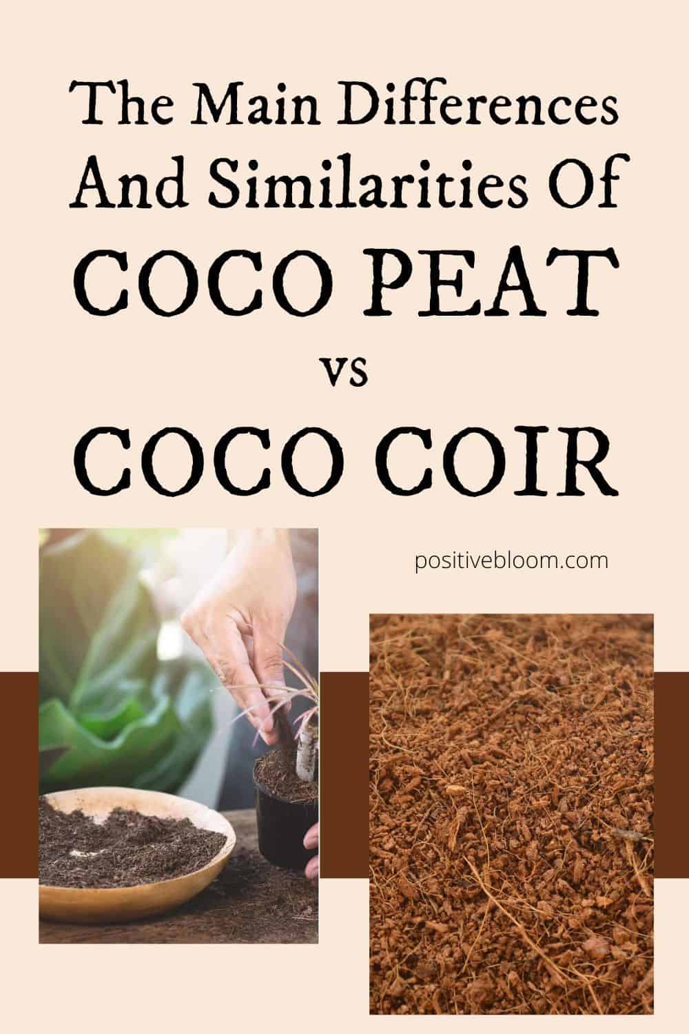 The Main Differences And Similarities Of Coco Peat vs Coco Coir