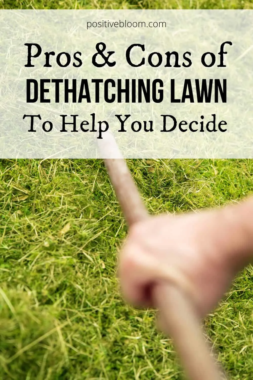 The Pros And Cons Of Dethatching Lawn To Help You Decide Pinterest