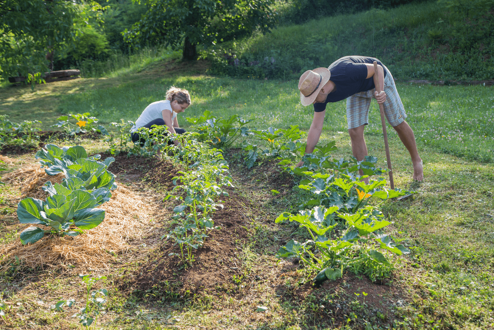 a man and a woman work in the garden