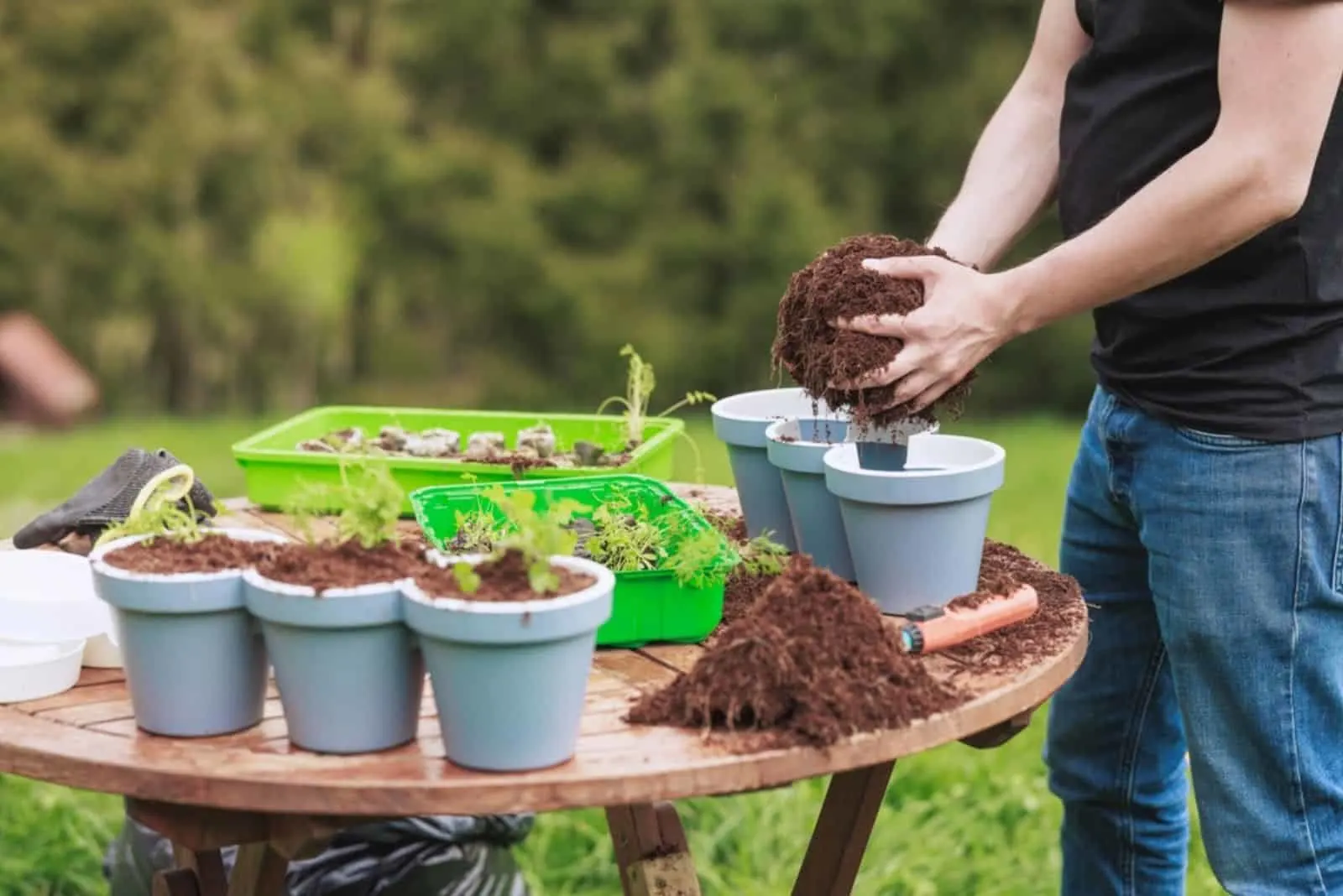 gardener make potting mix for herbs