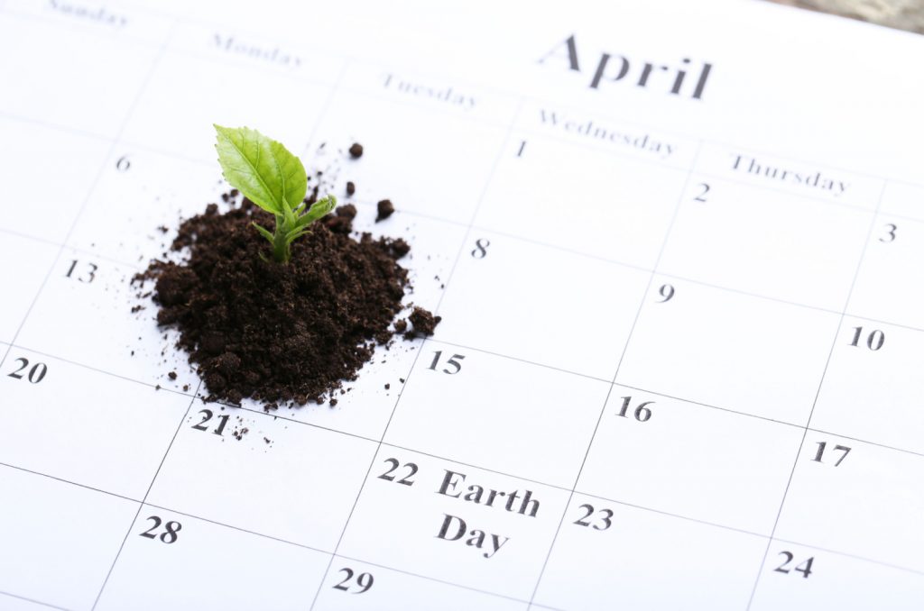 plant on a calendar