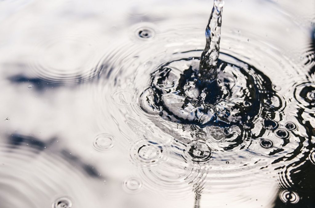 Is Rainwater Good For Plants? The Definitive Answer