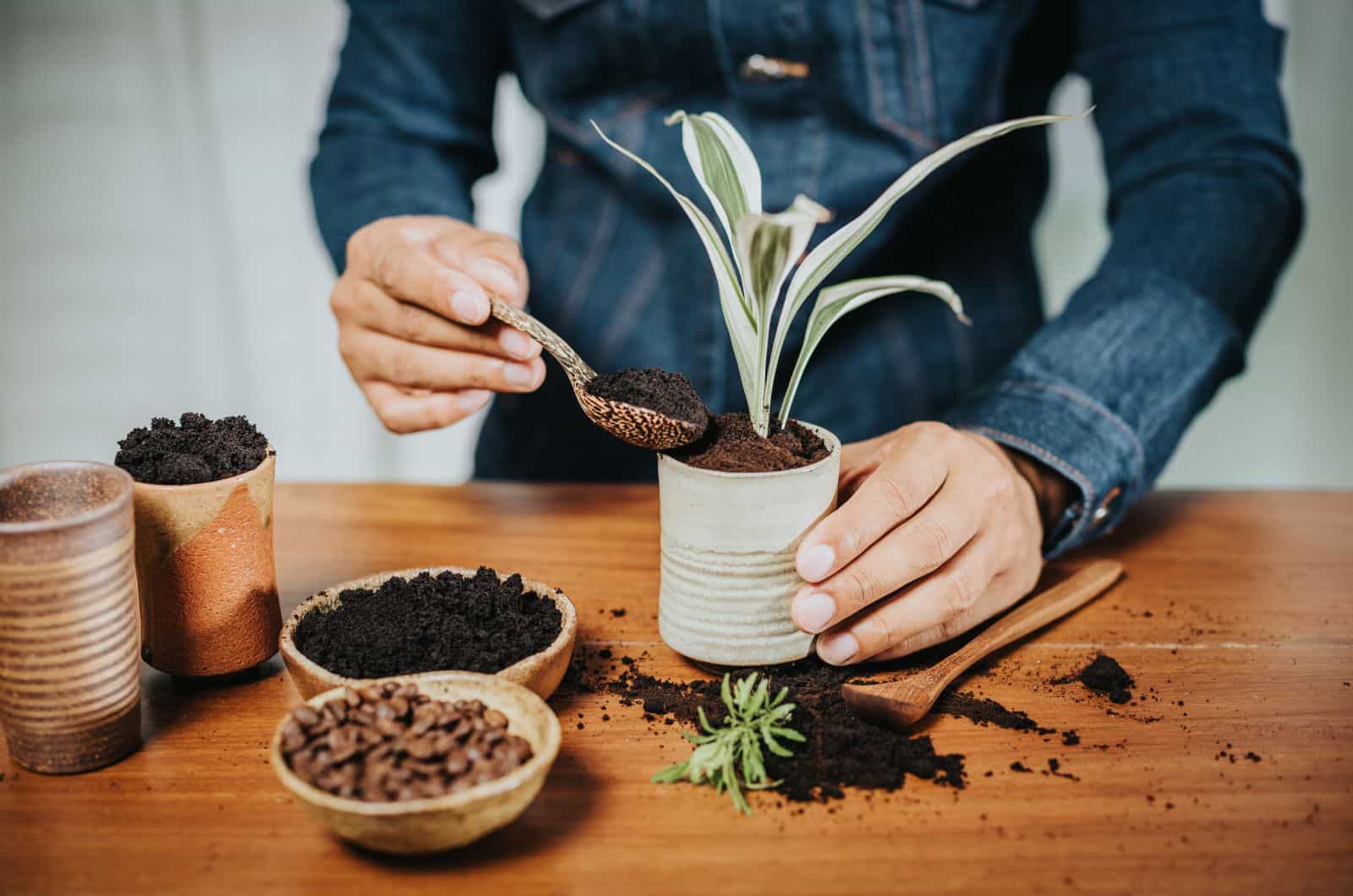 woman putting coffee grounds in plant soil