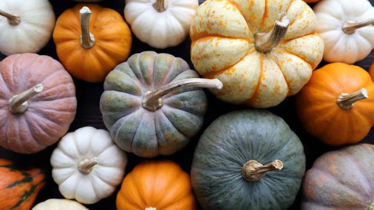 19 Best Pumpkin Companion Plants & Some Plants To Avoid