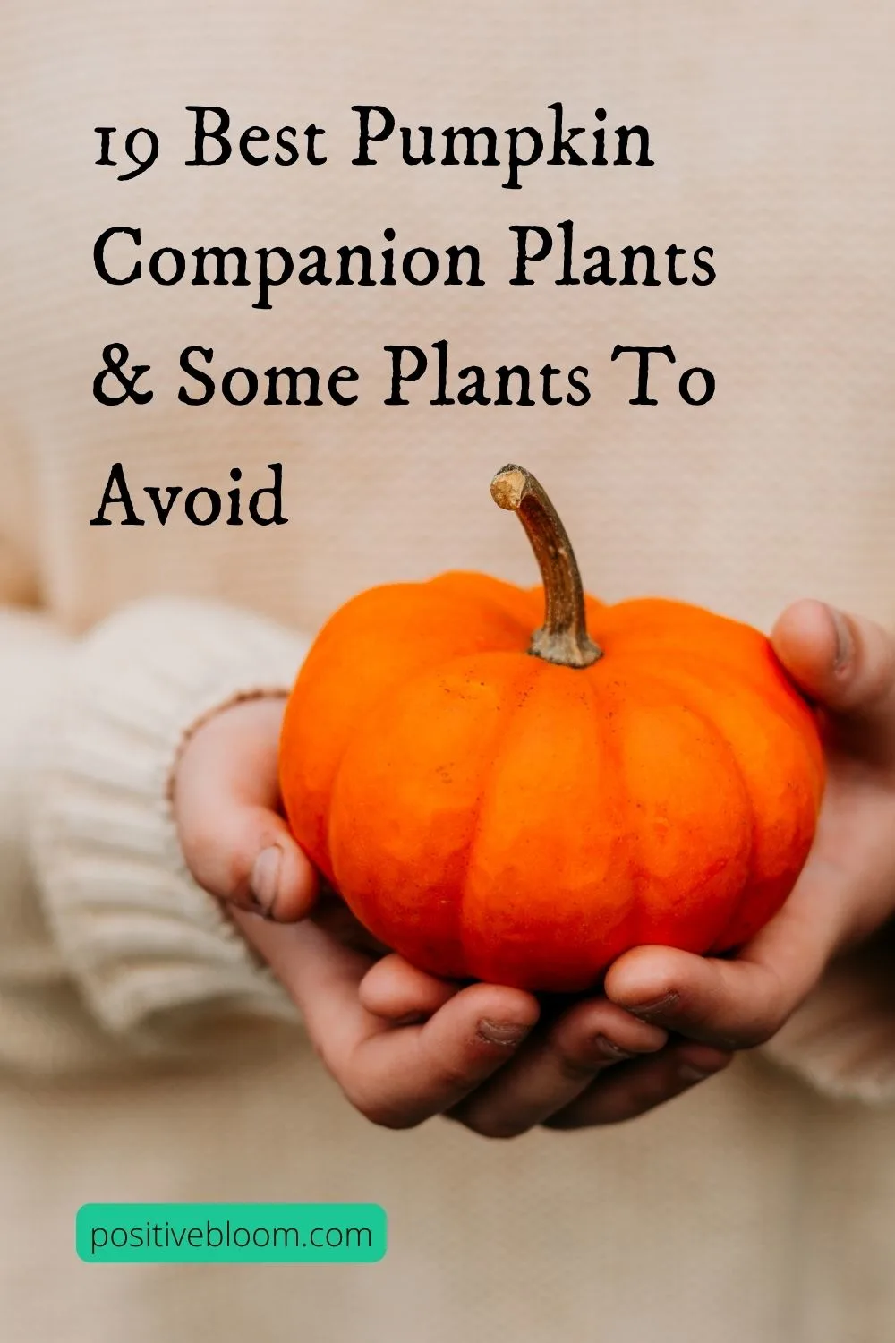 19 Best Pumpkin Companion Plants & Some Plants To Avoid Pinterest