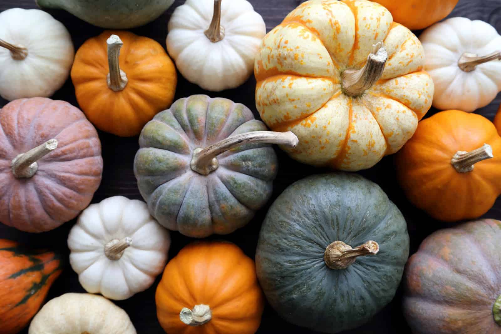 top view of various types of pumpkins
