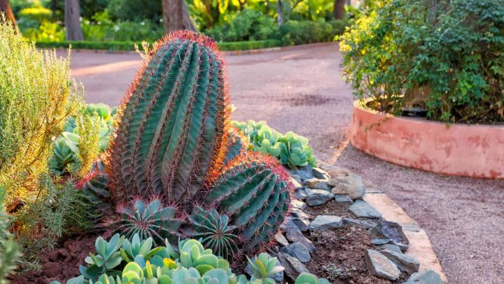 <strong>21 Inexpensive Desert Landscaping Ideas To Spruce Up Your Yard</strong>