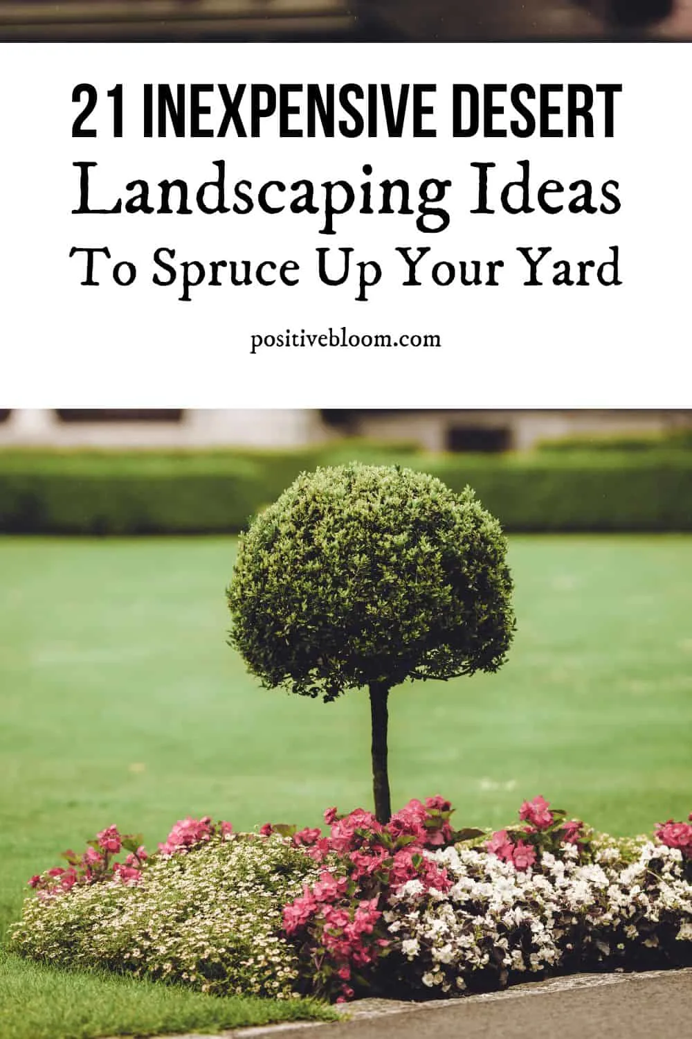21 Inexpensive Desert Landscaping Ideas To Spruce Up Your Yard Pinterest