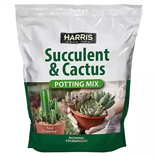 Harris Premium Succulent & Cactus Potting Mix