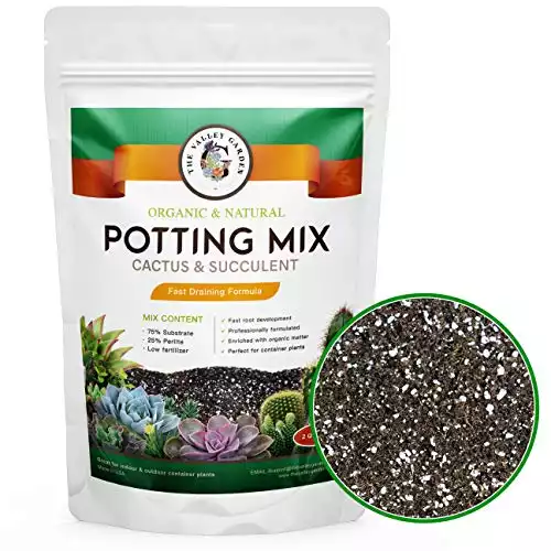 The Valley Garden Organic Potting Mix Cactus & Succulent