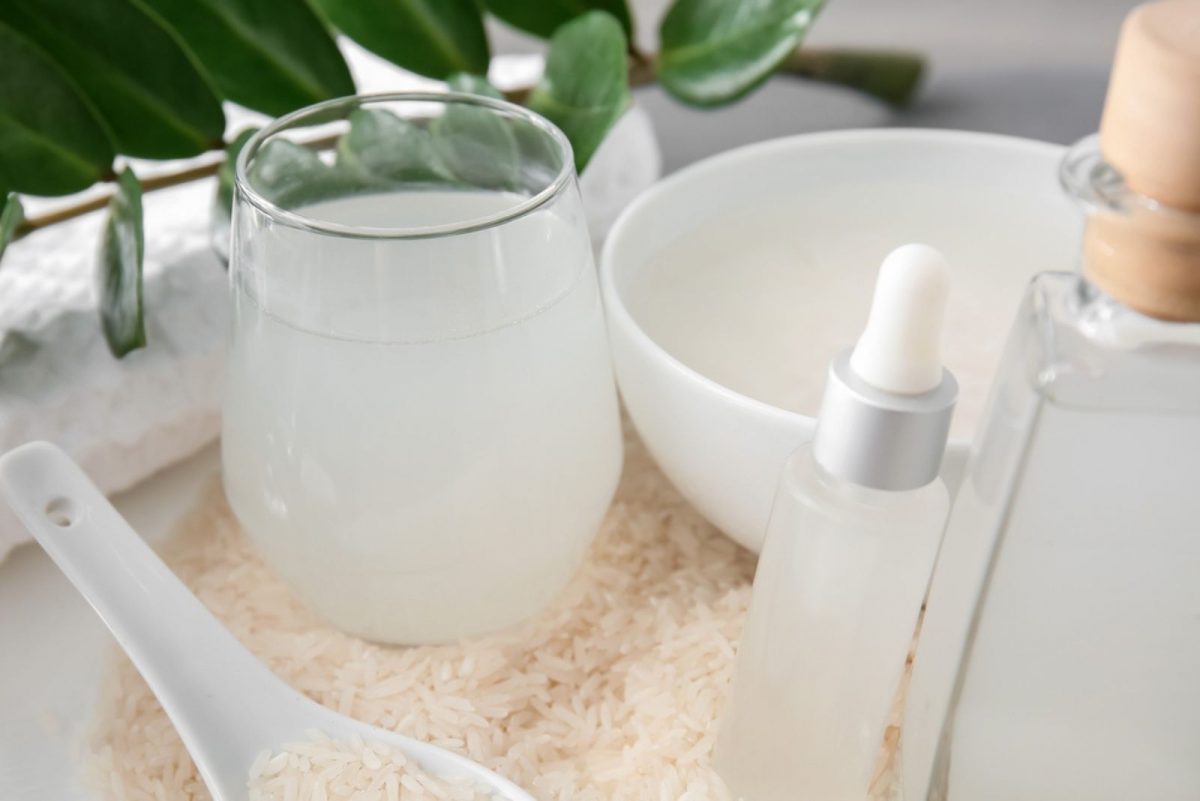 Pros And Cons Of Using Rice Water For Plants + The Best Method