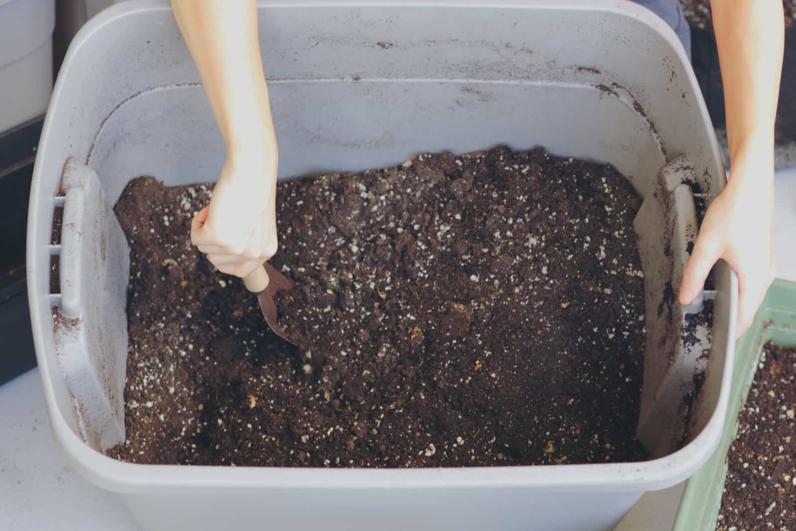 Home made compost and soil in a container