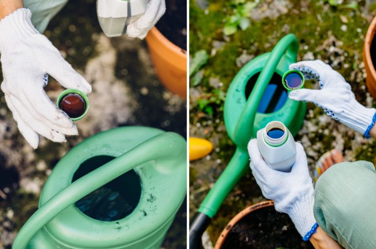 plant food and Fertilizer