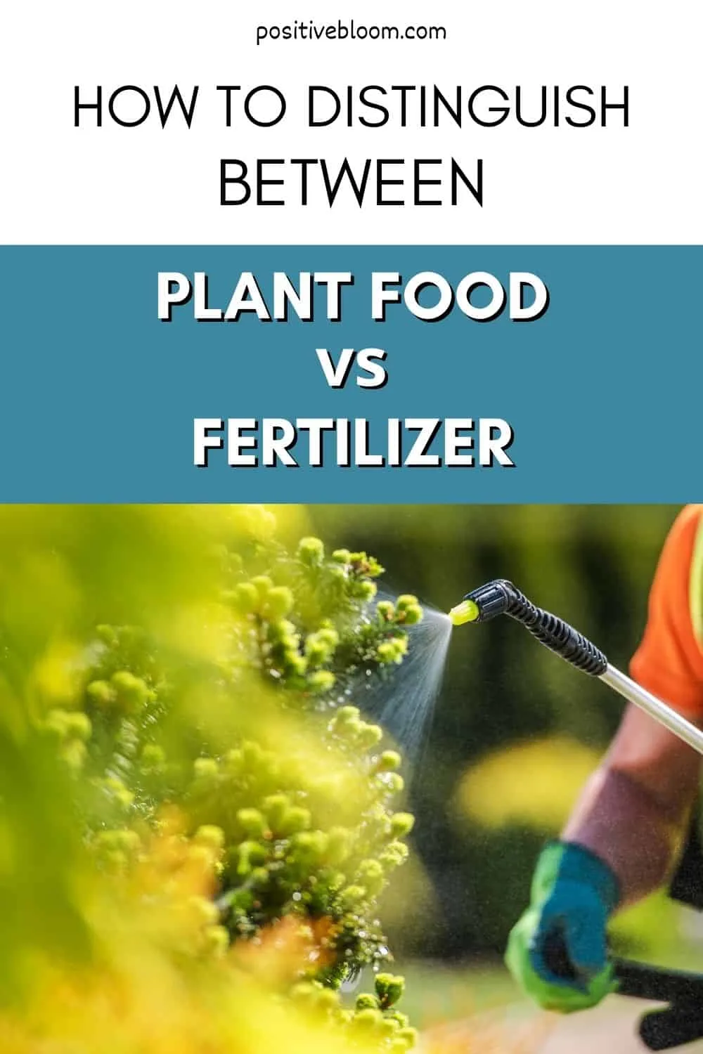 How To Distinguish Between Plant Food vs Fertilizer Pinterest