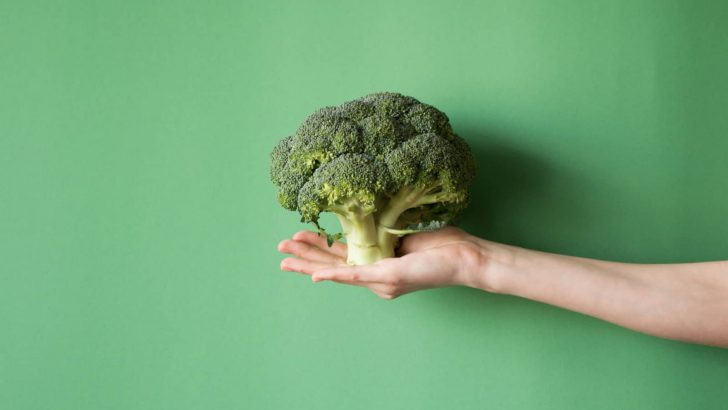 Is Broccoli Man-made? Let’s Take A Look Into Plant Genetics